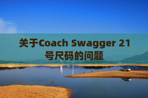 关于Coach Swagger 21号尺码的问题 关于Coach Swagger 21号尺码的问题